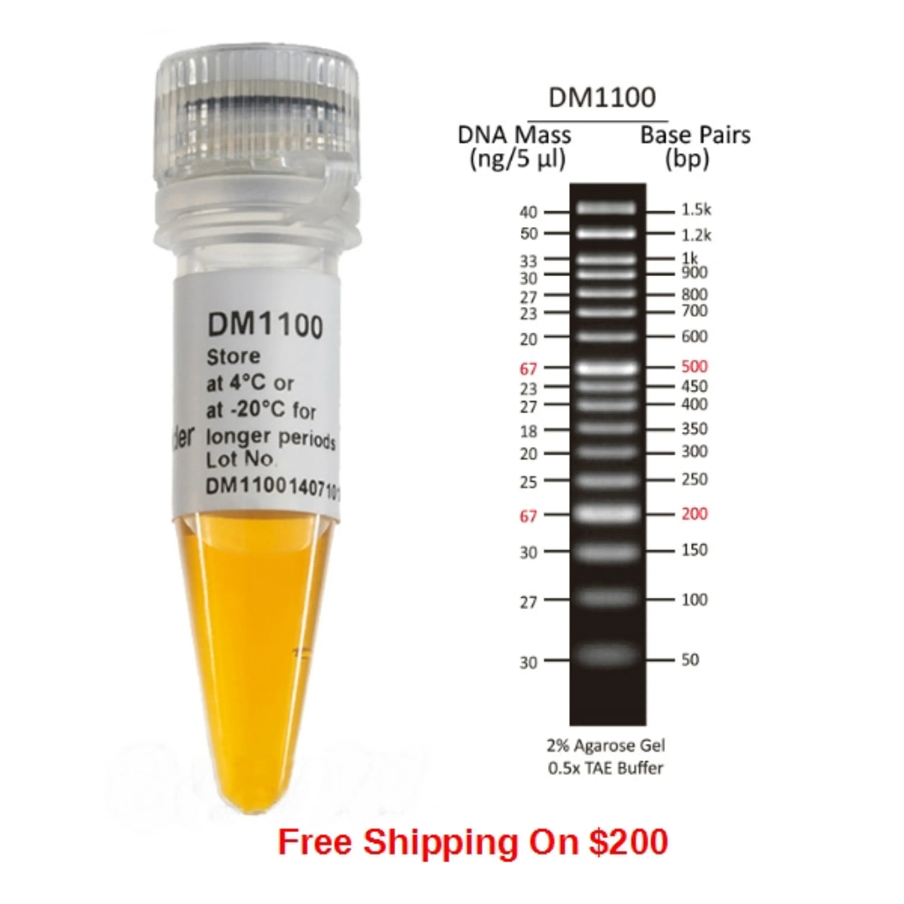 50-bp-dna-ladder kalazist کالازیست